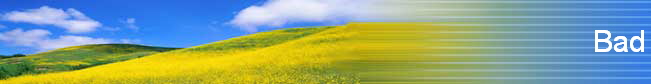 Bad