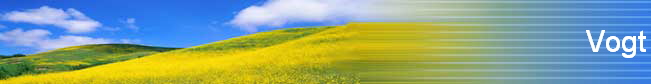 Vogt